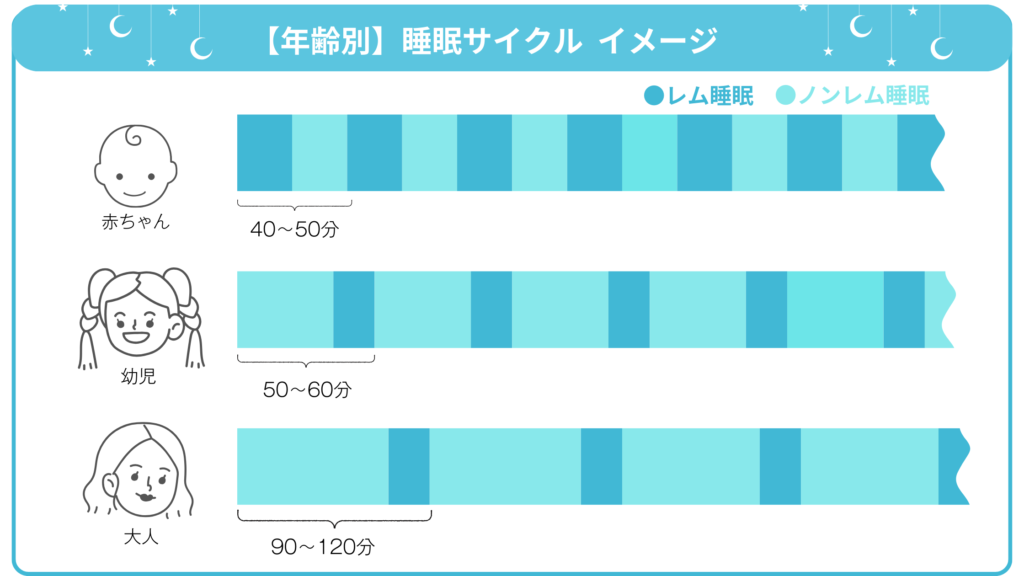 睡眠サイクルのグラフ